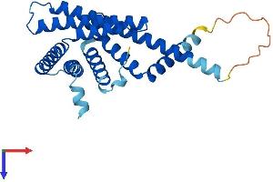 AlphaFold protein structure predicition of Mouse Recombinant Pex11b Protein, UniprotID Q9Z210