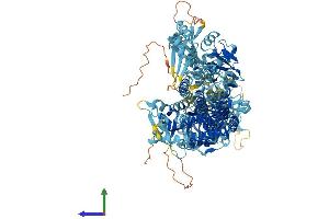AlphaFold protein structure predicition of Mouse Recombinant Atp13a2 Protein, UniprotID Q9CTG6