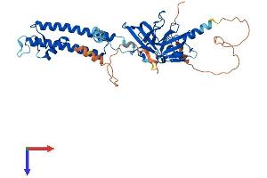 AlphaFold protein structure predicition of Mouse Recombinant Kcnj14 Protein, UniprotID Q8JZN3