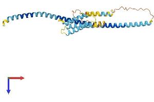AlphaFold protein structure predicition of Human Recombinant USE1 Protein, UniprotID Q9NZ43