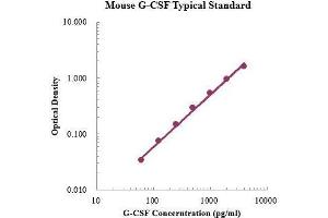 ELISA image for Colony Stimulating Factor 3 (Granulocyte) (CSF3) ELISA Kit (ABIN3198533) (G-CSF Kit ELISA)