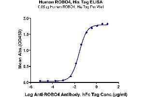 Immobilized Human ROBO4, His Tag at 0. (ROBO4 Protein (AA 27-469) (His tag))
