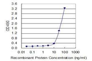 CD40 (Human) Matched Antibody Pair