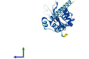 AlphaFold protein structure predicition of Mouse Recombinant Fbxo36 Protein, UniprotID Q9CQ24