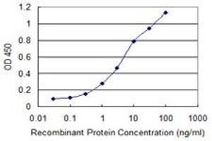 Detection limit for recombinant GST tagged CREBBP is 0. (CBP anticorps  (AA 951-1050))