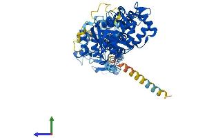AlphaFold protein structure predicition of Mouse Recombinant Rhot2 Protein, UniprotID Q8JZN7