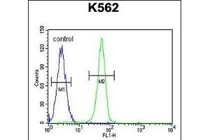 PLEKHA4 Antibody (N-term) (ABIN655718 and ABIN2845168) flow cytometric analysis of K562 cells (right histogram) compared to a negative control cell (left histogram). (PLEKHA4 anticorps  (N-Term))