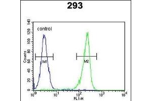 anti-Unc-50 Homolog (UNC50) (AA 5-33), (N-Term) antibody