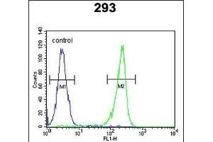 UNC50 Antibody (N-term) (ABIN6244031 and ABIN6578966) flow cytometric analysis of 293 cells (right histogram) compared to a negative control cell (left histogram). (UNC50 anticorps  (N-Term))
