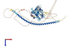 AlphaFold protein structure predicition of Mouse Recombinant Arhgap22 Protein, UniprotID Q8BL80