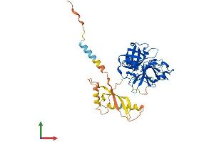 AlphaFold protein structure predicition of Mouse Recombinant Tmprss11a Protein, UniprotID Q3UQ41