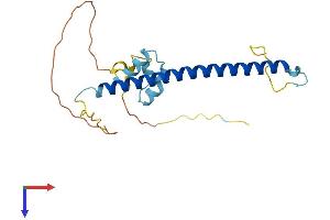 AlphaFold protein structure predicition of Mouse Recombinant Washc3 Protein, UniprotID Q9CR27