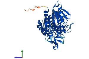 AlphaFold protein structure predicition of Mouse Recombinant Acot5 Protein, UniprotID Q6Q2Z6
