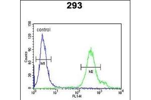 REG3A Antibody (N-term) (ABIN653158 and ABIN2842726) flow cytometric analysis of 293 cells (right histogram) compared to a negative control cell (left histogram). (REG3A anticorps  (N-Term))