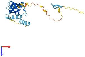 AlphaFold protein structure predicition of Human Recombinant EIF1AD Protein, UniprotID Q8N9N8