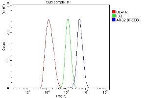 Flow Cytometry analysis of HEPG2 cells using anti-ARG2 antibody (ABIN7599304).