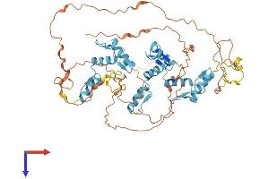 AlphaFold protein structure predicition of Human Recombinant ZNF513 Protein, UniprotID Q8N8E2