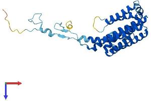 AlphaFold protein structure predicition of Human Recombinant PIGC Protein, UniprotID Q92535