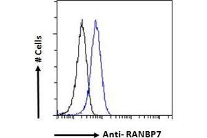 ABIN184802 Flow cytometric analysis of paraformaldehyde fixed HeLa cells (blue line), permeabilized with 0. (IPO7 anticorps  (C-Term))