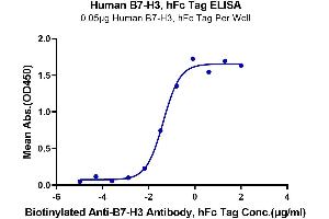 Immobilized Human B7-H3, hFc Tag at 0. (CD276 Protein (CD276) (AA 29-245) (Fc Tag))