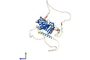 AlphaFold protein structure predicition of Human Recombinant DOK7 Protein, UniprotID Q18PE1