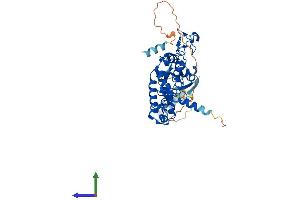 AlphaFold protein structure predicition of Mouse Recombinant Def8 Protein, UniprotID Q99J78
