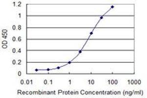 anti-Mercaptopyruvate Sulfurtransferase (MPST) (AA 1-100) antibody