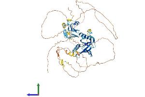 AlphaFold protein structure predicition of Human Recombinant SHC4 Protein, UniprotID Q6S5L8