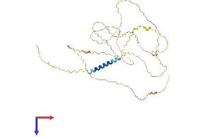 AlphaFold protein structure predicition of Mouse Recombinant Lax1 Protein, UniprotID Q8BHB3