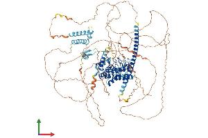AlphaFold protein structure predicition of Mouse Recombinant Kank4 Protein, UniprotID Q6P9J5