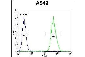 NIX Antibody (Center) (ABIN655731 and ABIN2845178) flow cytometric analysis of A549 cells (right histogram) compared to a negative control cell (left histogram). (BNIP3L/NIX anticorps  (AA 52-81))