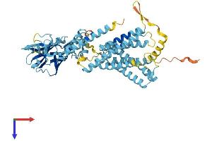 AlphaFold protein structure predicition of Human Recombinant CLPTM1L Protein, UniprotID Q96KA5
