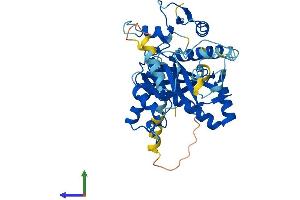 AlphaFold protein structure predicition of Human Recombinant TTLL1 Protein, UniprotID O95922