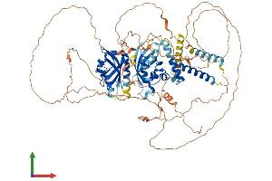 AlphaFold protein structure predicition of Mouse Recombinant Npas4 Protein, UniprotID Q8BGD7