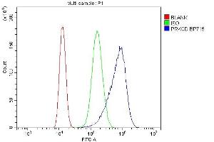 Flow Cytometry analysis of CACO-2 cells using anti-PRKCD antibody (ABIN7601631).