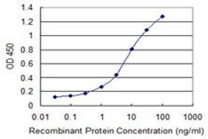 Detection limit for recombinant GST tagged SLC46A2 is 0.