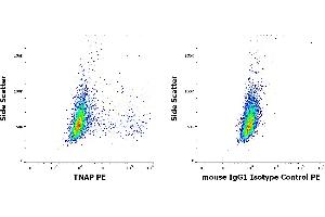 Flow cytometry surface staining patterns of HeLa cells stained using anti-TNAP (W8B2B10) PE antibody (concentration in sample 1. (TRAFs and NIK-Associated Protein (TNAP) anticorps (PE))