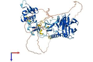 AlphaFold protein structure predicition of Human Recombinant ASH2L Protein, UniprotID Q9UBL3
