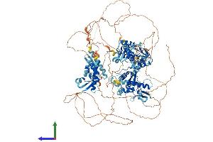 AlphaFold protein structure predicition of Mouse Recombinant Gtf2ird1 Protein, UniprotID Q9JI57