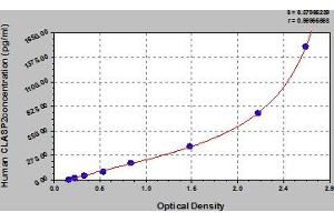 Typical Standard Curve (CLASP2 Kit ELISA)