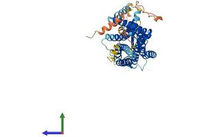 AlphaFold protein structure predicition of Human Recombinant HCRTR1 Protein, UniprotID O43613