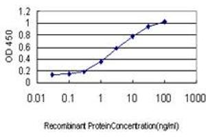Detection limit for recombinant GST tagged IRF2 is approximately 0.