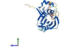 AlphaFold protein structure predicition of Mouse Recombinant Tiprl Protein, UniprotID Q8BH58