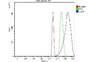 Flow Cytometry analysis of HEPA1-6 cells using anti-Cdnf antibody (ABIN7600890). (CDNF anticorps  (AA 25-187))