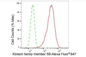 Flow cytometric analysis of Kinesin family member 5B expression in C2C12 cells using Kinesin family member 5B antibody (ABIN7799208), 1:2,000).