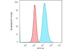 Flow Cytometric Analysis of paraformaldehyde-fixed K562 cells. (Moesin anticorps)