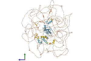 AlphaFold protein structure predicition of Mouse Recombinant Gli3 Protein, UniprotID Q61602