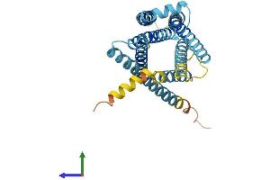 AlphaFold protein structure predicition of Human Recombinant TAS2R60 Protein, UniprotID P59551