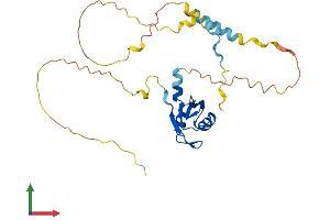 AlphaFold protein structure predicition of Mouse Recombinant Pabpn1l Protein, UniprotID Q5XFR0