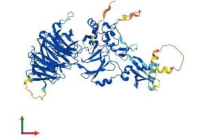 AlphaFold protein structure predicition of Human Recombinant WDR48 Protein, UniprotID Q8TAF3
